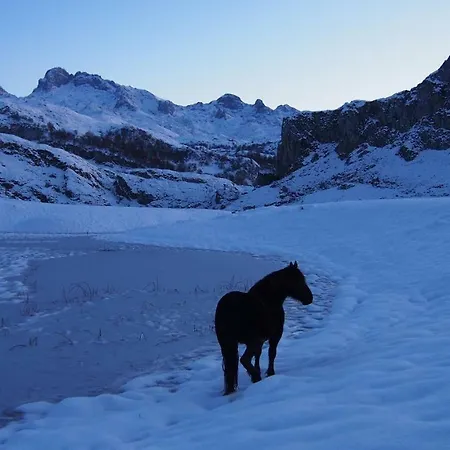 Holiday home La Casina De Labra *