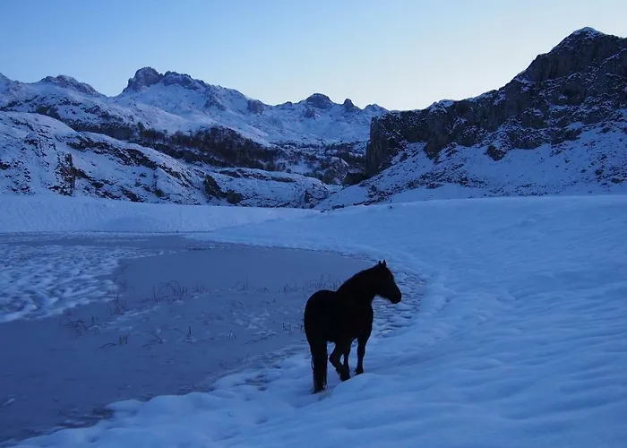 Holiday home La Casina De Labra *